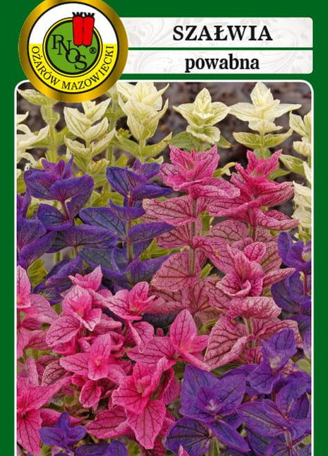 Nasiona - SZAŁWIA POWABNA MIESZANA 0,5g - Niezłe Ziółko