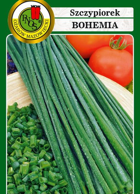 Nasiona - SZCZYPIOREK BOHEMIA 2g - koło 2800 sztuk nasion w opakowaniu - Niezłe Ziółko