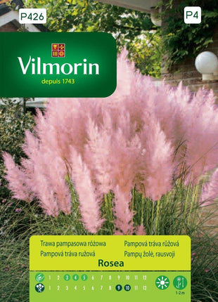 Nasiona - Trawa dekoracyjna pampasowa różowa Vilmorin 1 m² 0,1 kg - Niezłe Ziółko