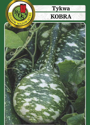 Nasiona - TYKWA KOBRA 2g - Niezłe Ziółko