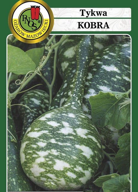 Nasiona - TYKWA KOBRA 2g - Niezłe Ziółko