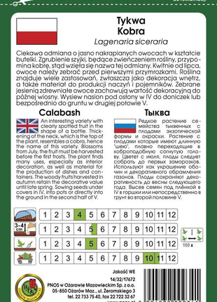 Nasiona - TYKWA KOBRA 2g - Niezłe Ziółko