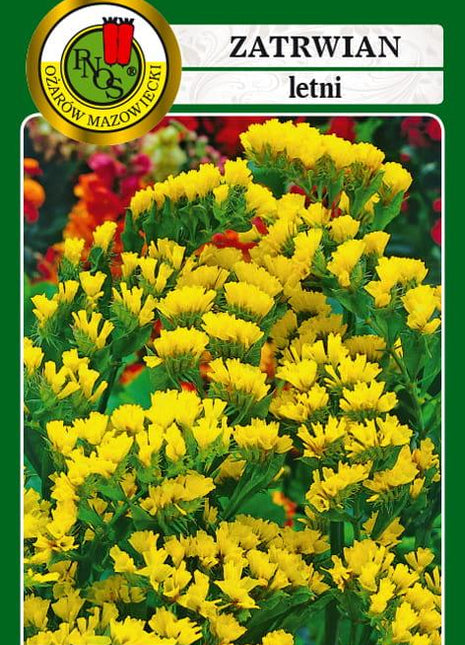 Nasiona - ZATRWIAN LETNI GOLD COAST ŻÓŁTY 0,2g - Niezłe Ziółko