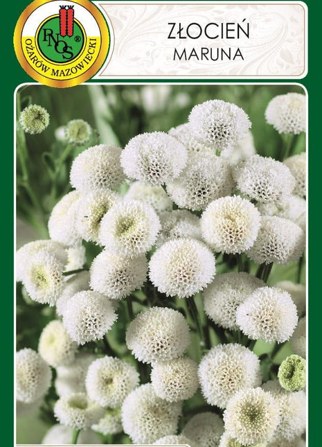 Nasiona - ZŁOCIEŃ MARUNA SNOWBALL BIAŁY 0,3g - Niezłe Ziółko