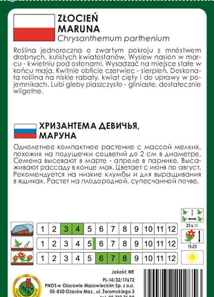 Nasiona - ZŁOCIEŃ MARUNA SNOWBALL BIAŁY 0,3g - Niezłe Ziółko