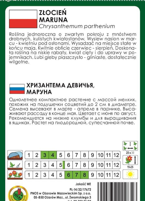 Nasiona - ZŁOCIEŃ MARUNA SNOWBALL BIAŁY 0,3g - Niezłe Ziółko