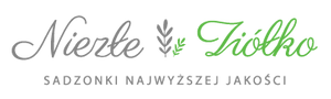 Niezłe Ziółko
