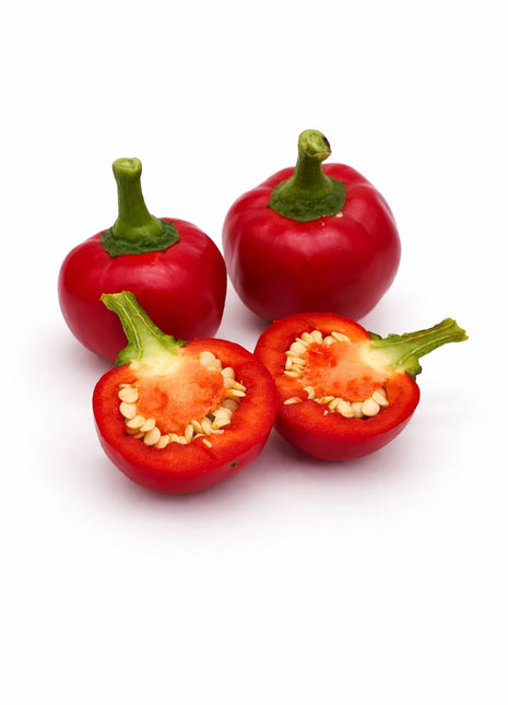 Papryka Ostra Czereśniowa - Sadzonka