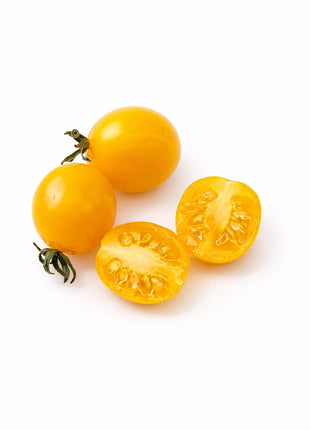 Pomidor Koralik Żółty - Sadzonka