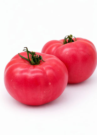 Pomidor Malinowy Ożarowski - Sadzonka