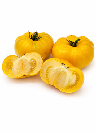 Pomidor Złoty Ożarowski - Sadzonka