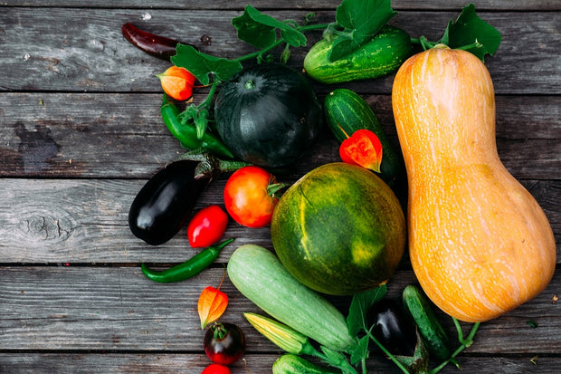 Banner image for: Sadzonki Ogórków, Cukinii i Dyni