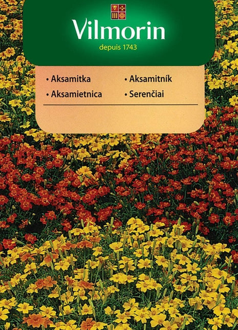Nasiona - AKSAMITKA WĄSKOLISTNA MIESZANKA 0,5g - Niezłe Ziółko