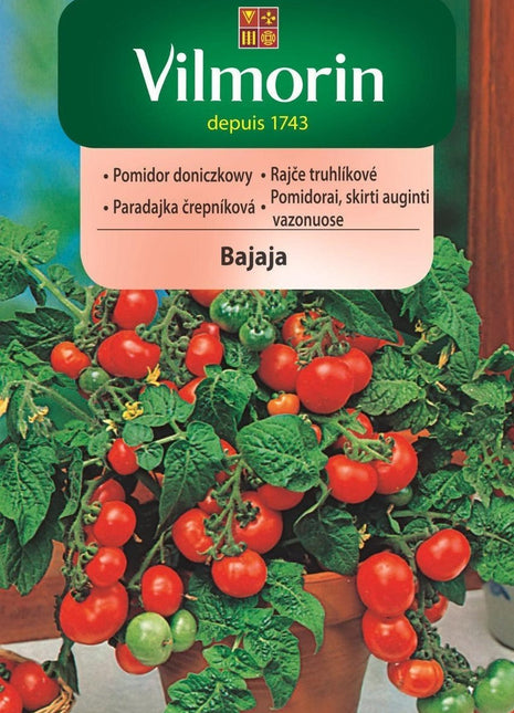Nasiona - BAJAJA POMIDOR KOKTAJLOWY BALKONOWY KARŁOWY 0,5g - Niezłe Ziółko