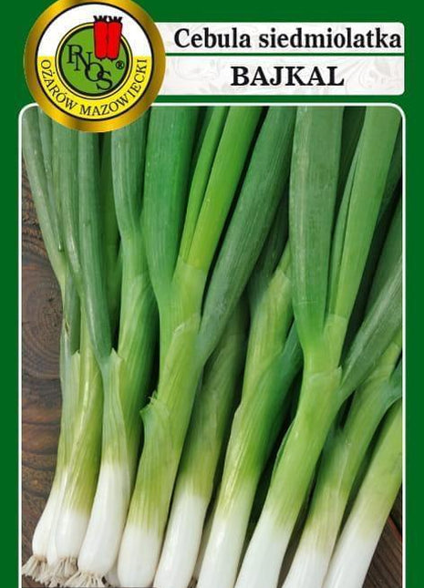 Nasiona - CEBULA SIEDMIOLATKA BAJKAL 2g - koło 800 sztuk nasion w opakowaniu - Niezłe Ziółko