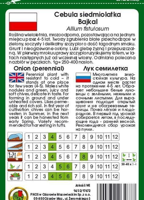 Nasiona - CEBULA SIEDMIOLATKA BAJKAL 2g - koło 800 sztuk nasion w opakowaniu - Niezłe Ziółko