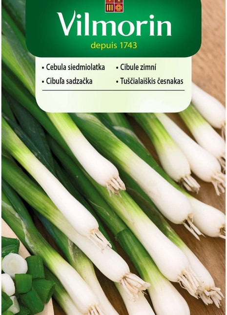 Nasiona - CEBULA SIEDMIOLATKA BAJKAL 2g - Niezłe Ziółko