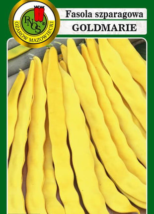 Nasiona - FASOLA SZPARAG.ŻÓŁTA TYCZNA GOLDMARIE 20g - Niezłe Ziółko