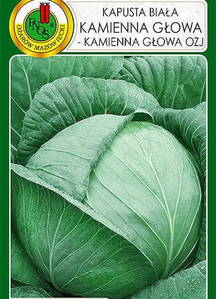 Nasiona - KAPUSTA GŁOWIASTA BIAŁA KAMIENNA GŁOWA 2g - Niezłe Ziółko