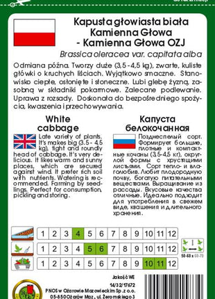 Nasiona - KAPUSTA GŁOWIASTA BIAŁA KAMIENNA GŁOWA 2g - Niezłe Ziółko