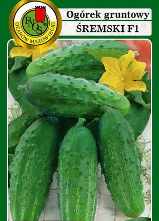 Nasiona - OGÓREK GRUNTOWY ŚREMSKI F1 5g - Niezłe Ziółko