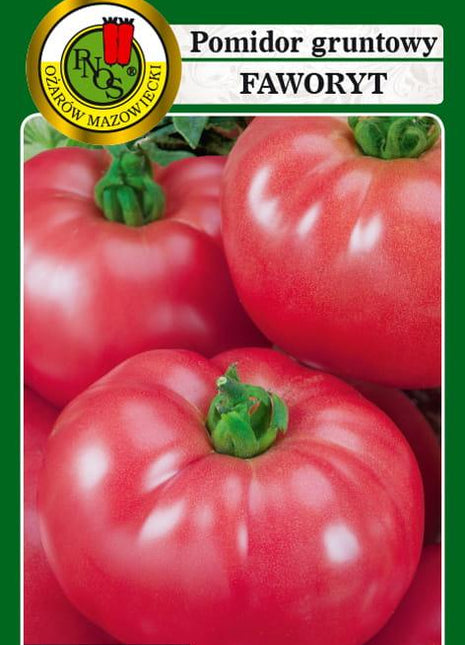 POMIDOR GRUNTOWY FAWORYT 1g - nasiona - Niezłe Ziółko