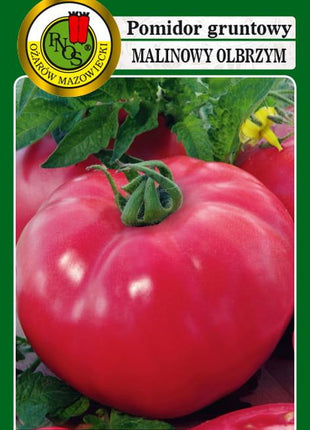 POMIDOR GRUNTOWY MALINOWY OLBRZYM 1g - nasiona - Niezłe Ziółko