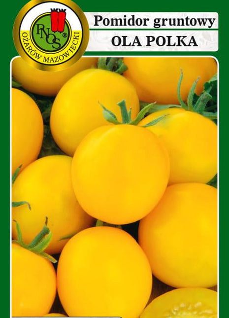 POMIDOR GRUNTOWY OLA POLKA 1g - nasiona - Niezłe Ziółko