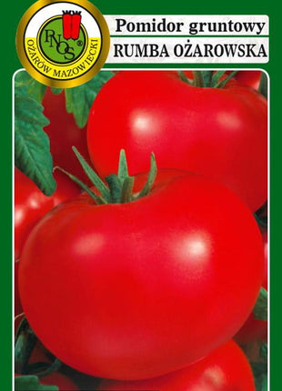 POMIDOR GRUNTOWY RUMBA OŻAROWSKA 1g - nasiona - Niezłe Ziółko