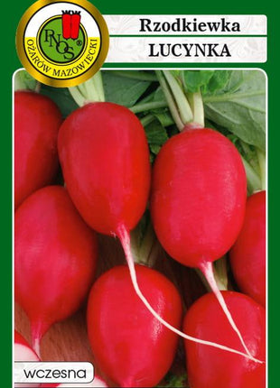 RZODKIEWKA LUCYNKA 10g - koło 1000 sztuk nasion w opakowaniu - Niezłe Ziółko