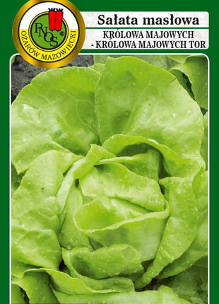 SAŁATA GŁOWIASTA MASŁOWA KRÓLOWA MAJOWYCH 1g - koło 1200 sztuk nasion w opakowaniu - Niezłe Ziółko